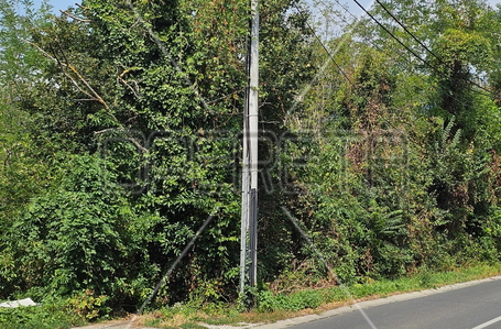 opereta_carousel_photo_2