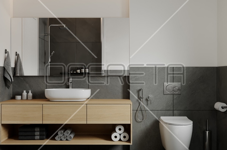 opereta_carousel_photo_8