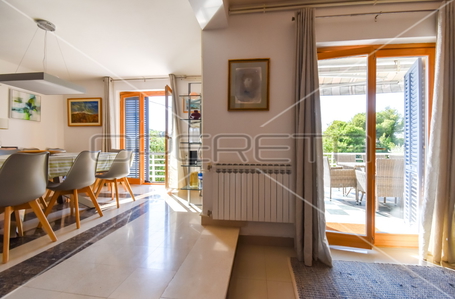 opereta_carousel_photo_3