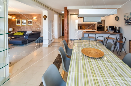 opereta_carousel_photo_4