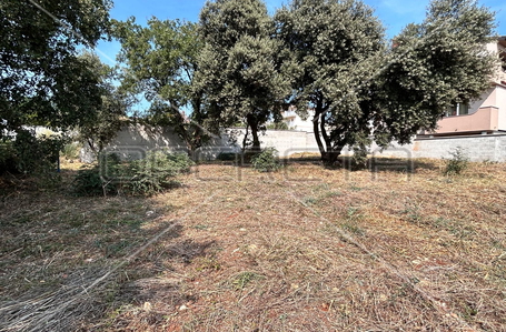 opereta_carousel_photo_5