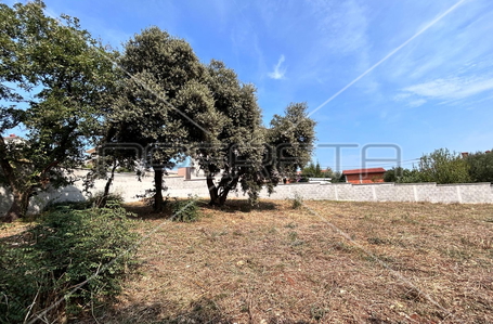 opereta_carousel_photo_3