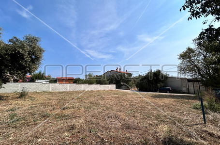 opereta_carousel_photo_4