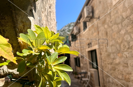 opereta_carousel_photo_2