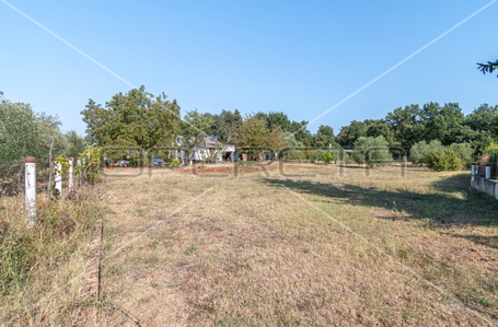 opereta_carousel_photo_2