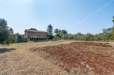 opereta_carousel_photo_3