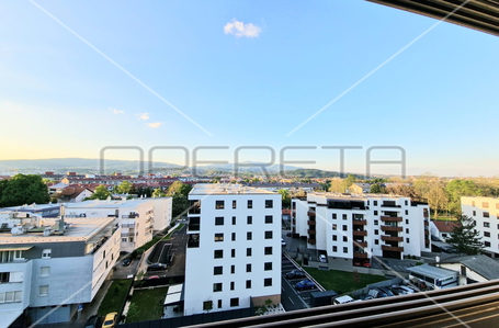 opereta_carousel_photo_9