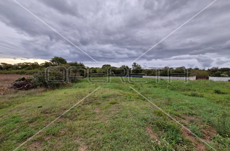 opereta_carousel_photo_3