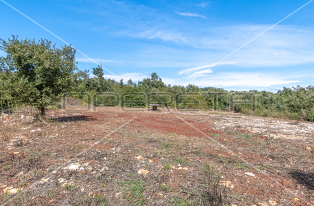 opereta_carousel_photo_2