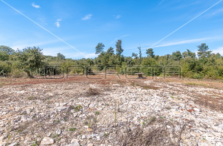 opereta_carousel_photo_3