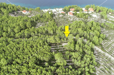 opereta_carousel_photo_5