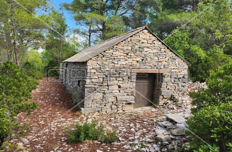 opereta_carousel_photo_8