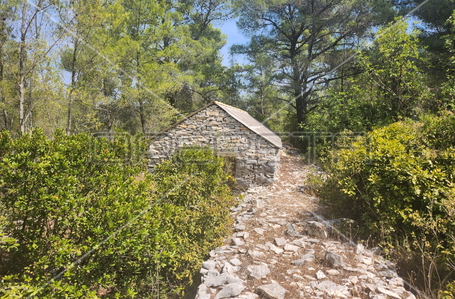 opereta_carousel_photo_7