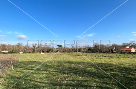 opereta_carousel_photo_2