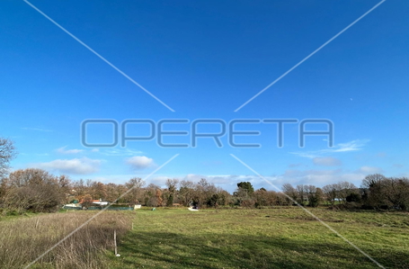 opereta_carousel_photo_3