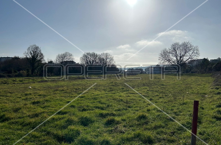 opereta_carousel_photo_4