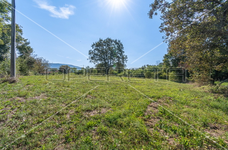 opereta_carousel_photo_4