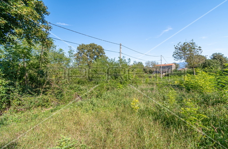 opereta_carousel_photo_6