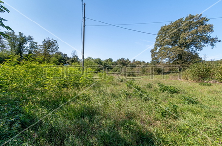 opereta_carousel_photo_7