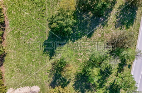 opereta_carousel_photo_2