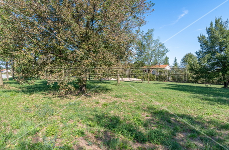 opereta_carousel_photo_6