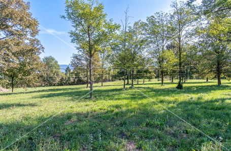 opereta_carousel_photo_3