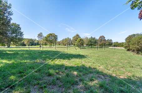 opereta_carousel_photo_4