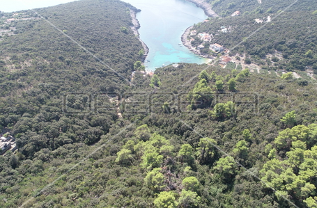 opereta_carousel_photo_9