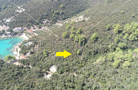 opereta_carousel_photo_3