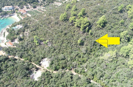 opereta_carousel_photo_5