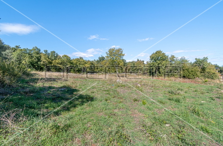 opereta_carousel_photo_2