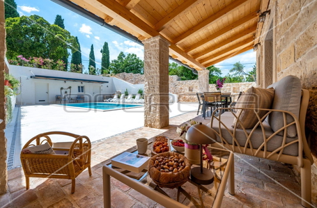 opereta_carousel_photo_3