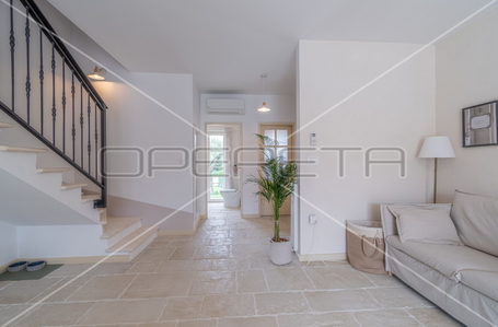 opereta_carousel_photo_6