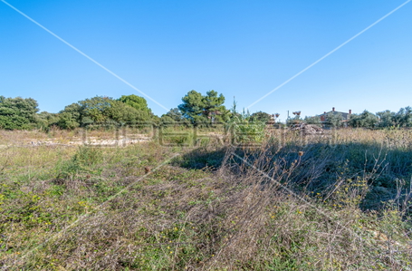 opereta_carousel_photo_2