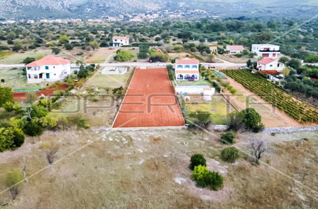 opereta_carousel_photo_7