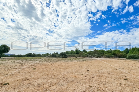 opereta_carousel_photo_8