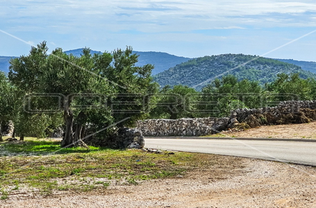 opereta_carousel_photo_3