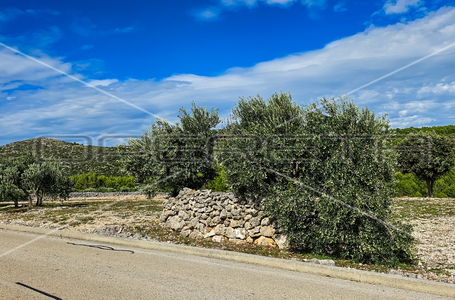 opereta_carousel_photo_4