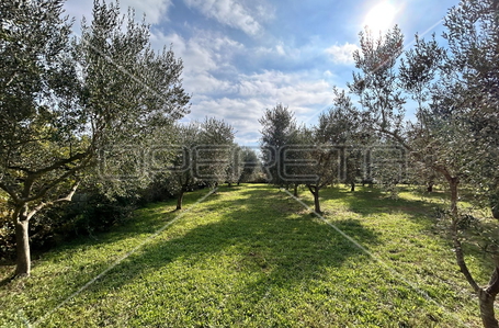 opereta_carousel_photo_4