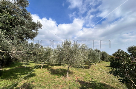 opereta_carousel_photo_5