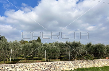 opereta_carousel_photo_6