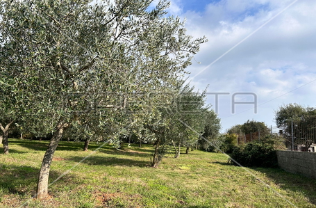 opereta_carousel_photo_7