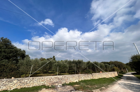 opereta_carousel_photo_8