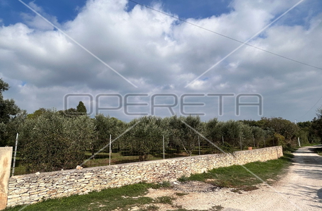 opereta_carousel_photo_9