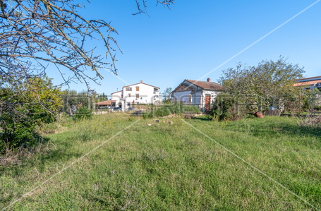 opereta_carousel_photo_2