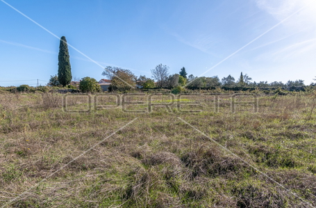 opereta_carousel_photo_2