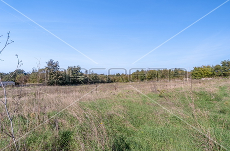 opereta_carousel_photo_2