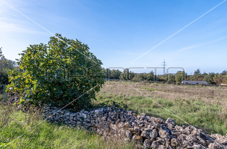 opereta_carousel_photo_3