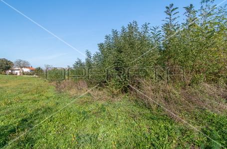 opereta_carousel_photo_2