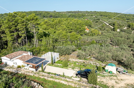 opereta_carousel_photo_3